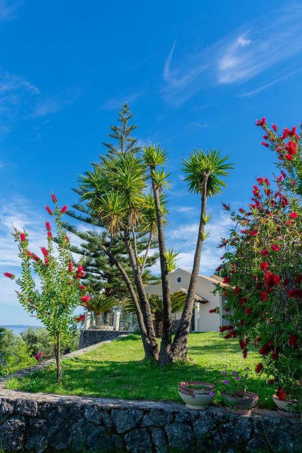 Villa Emily Achílleion Esterno foto